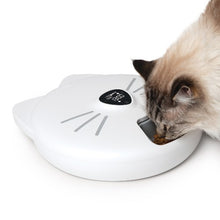 Charger l'image dans la galerie, Distributeur intelligent Catit PIXI de 6 repas avec plateau en acier inoxydable
