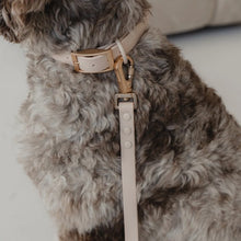 Charger l'image dans la galerie, Dexypaws Collier imperméable pour chien, Beige
