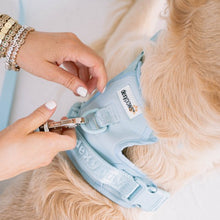 Charger l'image dans la galerie, Dexypaws Harnais sans traction pour chien, Bleu ciel
