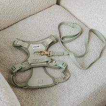 Charger l'image dans la galerie, Dexypaws Harnais sans traction pour chien, Vert sauge
