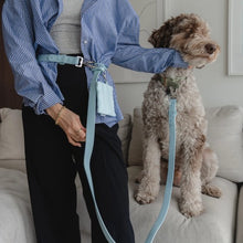 Charger l'image dans la galerie, Dexypaws Laisse "Mains Libre" imperméable pour chien, Bleu ciel 6 pieds
