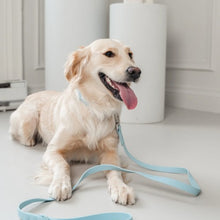 Charger l'image dans la galerie, Dexypaws Laisse imperméable pour chien, Bleu ciel 5 pieds
