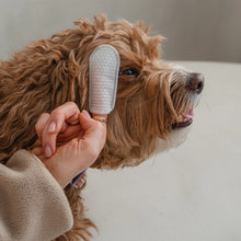 Charger l'image dans la galerie, Dexypaws Lingettes doigt pour chien - Soins des yeux, oreilles &amp; nez - Sans parfum
