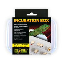 Charger l'image dans la galerie, Bac Exo Terra pour incubation
