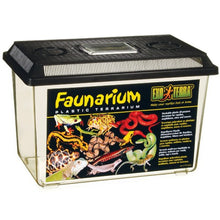 Charger l'image dans la galerie, Faunarium Exo Terra - Haut

