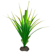 Charger l'image dans la galerie, Plante Betta de qualité supérieure - Myriophylle aquatique - 20 cm (8 po)
