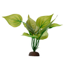 Charger l'image dans la galerie, Plante Aqualife Fluval avec base de pierre - Saurure penché - 20 cm (8 po)
