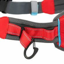 Charger l'image dans la galerie, Kurgo Ceinture d'excursion / de coureur "On-Trail" ajustable, Rouge et bleu
