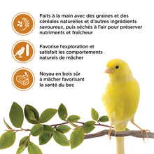 Charger l'image dans la galerie, Living World Gâteries pour serins - Bâtonnets au miel - Paquet de 2 - 65 gr
