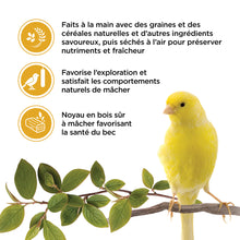 Charger l'image dans la galerie, Living World Gâteries pour serins - Bâtonnets aux oeufs - Paquet de 2 - 50 gr (Copie)
