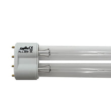 Charger l'image dans la galerie, Lampe UV-C Laguna de rechange de style PL-S, 36 W
