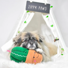 Charger l'image dans la galerie, Jouet pour chien peluche Zippy Paws, Carmen le cactus
