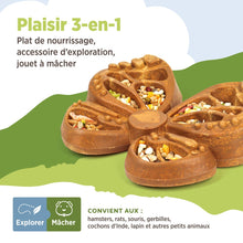 Charger l'image dans la galerie, Living World Accessoire de nourrissage comestible  - Papillon - Orange - 180 gr (6,3 oz)
