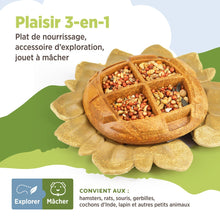 Charger l'image dans la galerie, Living World Accessoire de nourrissage comestible - Tournesol - Orange - 160 gr (5,6 oz)
