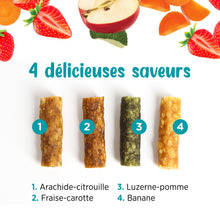 Charger l'image dans la galerie, Living World Gâteries Grignotines pour petits animaux - Mélange de saveurs - 75 gr
