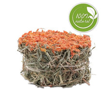 Charger l'image dans la galerie, Galette de foin Botanicals Living World Green - Carotte - 75 gr (2,6 oz)

