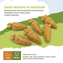 Charger l'image dans la galerie, Living World Jouet à mâcher comestible - Carottes - Orange - Paquet de 6 - 78 gr (2,7 oz)
