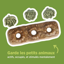 Charger l'image dans la galerie, Living World Jouet à mâcher comestible - Carré de choux - Multicolore - 165 gr (5,8 oz)
