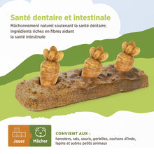Charger l'image dans la galerie, Living World Jouet à mâcher comestible - Lit de carottes - Multicolore - 140 gr (4,9 oz)
