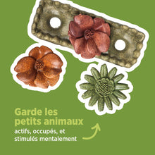 Charger l'image dans la galerie, Living World Jouet à mâcher comestible - Lit de fleurs - Multicolore - 150 gr (5,2 oz)
