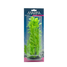Charger l'image dans la galerie, Hygrophila VibraScaper Marina, vert phosphorescent, grande, 30 cm (12 po)
