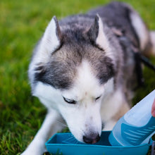Charger l'image dans la galerie, Messy Mutts Bouteille d'eau de voyage compressible avec bol amovible - Bleue
