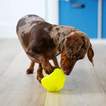 Charger l'image dans la galerie, Messy Mutts "Totally Pooched, Stuff'n Wobble Ball" Jouet interactif pour chien - 3 po - Vert
