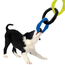 Charger l'image dans la galerie, Jeu de trois anneaux à tirer Nerf Dog, 22,9 cm (9 po)
