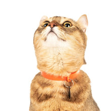 Charger l'image dans la galerie, Nuvuq Collier ajustable avec attache de sécurité pour chat, Orange tangerine
