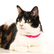 Charger l'image dans la galerie, Nuvuq Collier ajustable avec attache de sécurité pour chat, Rose framboise
