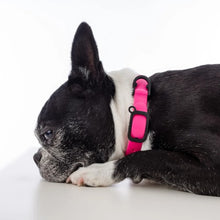 Charger l'image dans la galerie, Nuvuq Collier ajustable pour chien, Rose framboise
