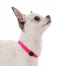 Charger l'image dans la galerie, Nuvuq Collier ajustable pour mini chien, Rose frambroise
