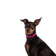 Charger l'image dans la galerie, Nuvuq Collier ajustable pour mini chien, Rose frambroise
