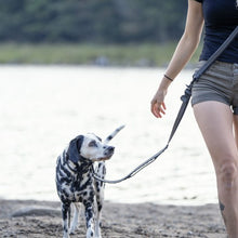 Charger l'image dans la galerie, Nuvuq Laisse multifonctionnelle pour chien, Poivre noir
