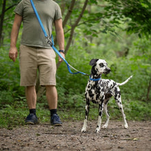 Charger l'image dans la galerie, Nuvuq Laisse multifonctionnelle pour chien, Bleu Bleuet
