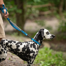 Charger l'image dans la galerie, Nuvuq Laisse multifonctionnelle pour chien, Bleu Bleuet
