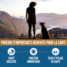 Charger l'image dans la galerie, ORIJEN Chien Amazing Grains Originale
