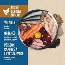 Charger l'image dans la galerie, ORIJEN Chien Amazing Grains Originale

