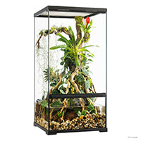 Charger l'image dans la galerie, Paludarium professionnel Exo Terra - habitat avancé naturel - petit/très haut - 45 x 45 x 90 cm (18 x 18 x 35 po)
