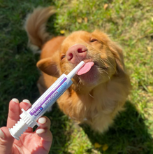 Charger l'image dans la galerie, Pâte pré et probiotiques - Problèmes intestinaux
