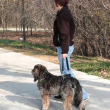 Charger l'image dans la galerie, Petsafe Harnais de levage pour chien CareLift - Arrière seulement
