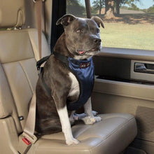 Charger l'image dans la galerie, Petsafe Harnais de sécurité deluxe pour chien pour la voiture
