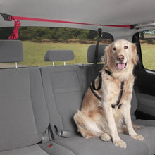 Charger l'image dans la galerie, Petsafe Ligne de sécurité pour voiture Pupzip
