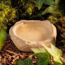 Charger l'image dans la galerie, Plat en céramique émaillée au sable Exo Terra pour terrariums
