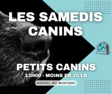 Charger l'image dans la galerie, SAMEDIS CANINS - Rencontres canines au Parc à Chien intérieur LJDA
