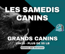Charger l'image dans la galerie, SAMEDIS CANINS - Rencontres canines au Parc à Chien intérieur LJDA

