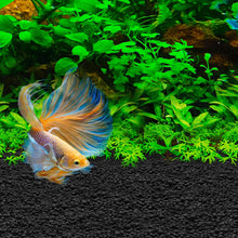 Charger l'image dans la galerie, Substrat pour Betta Stratum Fluval - 0,8 kg (1,76 lb)
