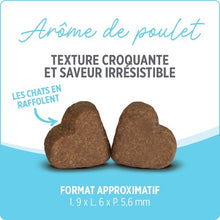 Charger l'image dans la galerie, Suppléments Nutrience Care pour chats - Calmant 180 g
