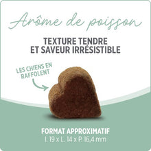 Charger l'image dans la galerie, Suppléments Nutrience Care pour chiens - Peau et pelage - 100 bouchées tendres 400 gr
