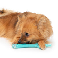 Charger l'image dans la galerie, Bâton Duo Zeus, parfum de poulet, turquoise, petit, 23 cm (9 po)
